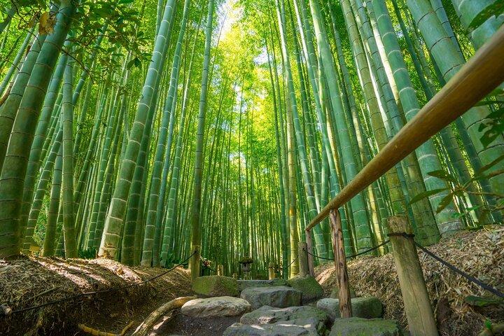自家用車で行く鎌倉歴史文化日帰り旅行