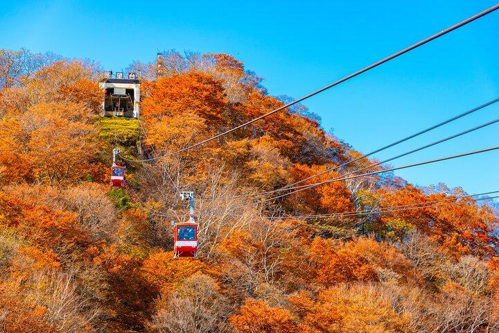 Explore the History of Nikko by Private Vehicle From Tokyo