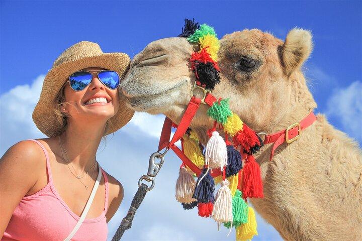 Outback Camel Ride