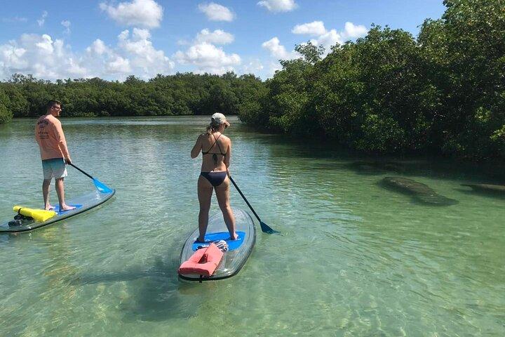 Self-Guided Island Tour: CLEAR/Standard Kayak, SUP-Bonita Springs