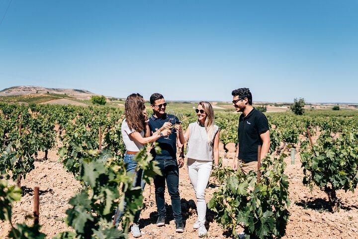 Segovia Privada y Ribera del Duero con Cata de Vinos desde Madrid