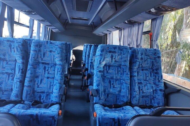 Excursion exclusive en minibus Punta Tombo Shore Tour (jusqu'à 20 pax) Visite VIP