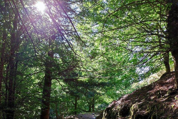 Gastro hike (Private Tour)