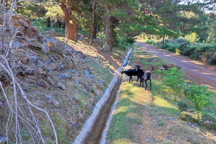 Gastro hike (Private Tour)