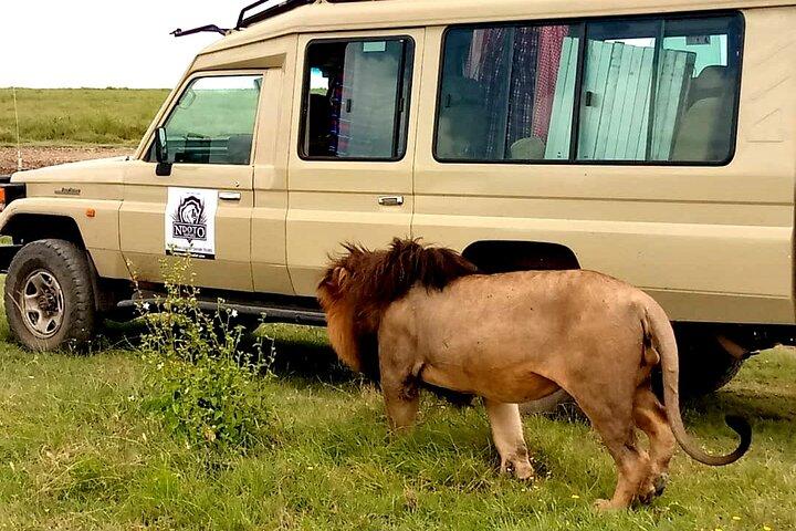 Safari de campamento de aventura de 5 días a Serengeti, cráter de Ngorongoro y Tarangire