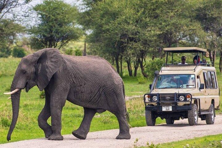 Safari de campamento de aventura de 5 días a Serengeti, cráter de Ngorongoro y Tarangire