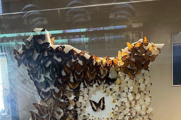 ナイロビでの6時間のプライベートサファリツアー