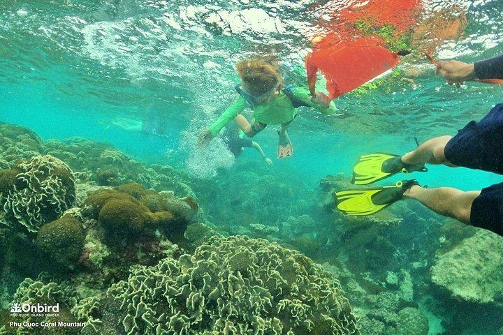 OnBird - フーコックでプライベートファミリーのお子様連れのシュノーケリング旅行