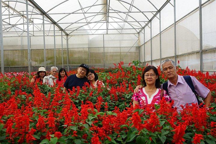 VIP Private Tour in Dalat City and Waterfall