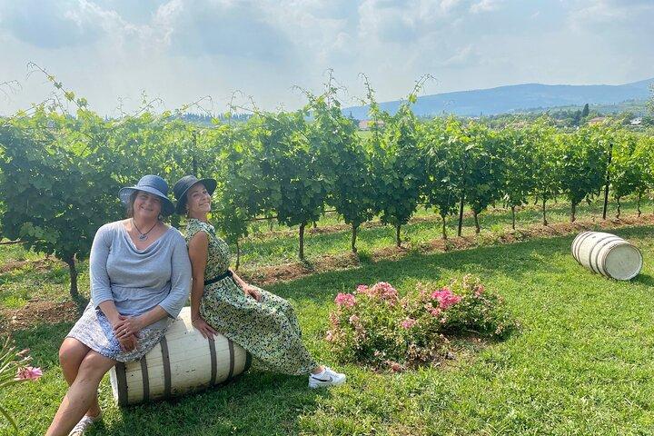 Van Verona: privétrip naar het Gardameer van Sirmione en de wijnstreek Valpolicella