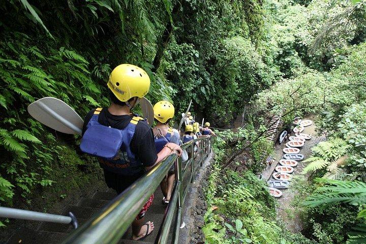 3 dage for det bedste af Ubud Private Tour