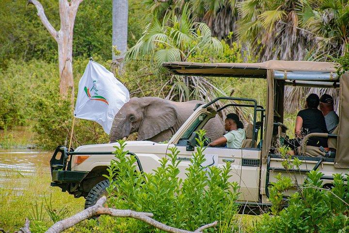 ザンジバル日帰りサファリツアーからミクミ国立公園へ