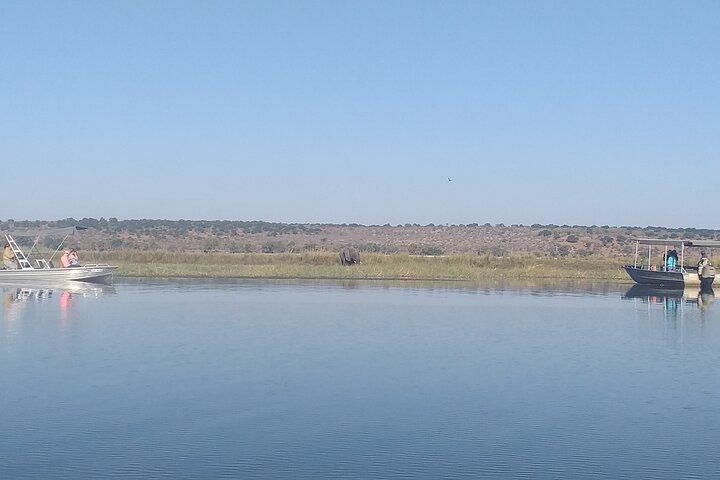 Chobe Botswana nationaal park Dagtrip