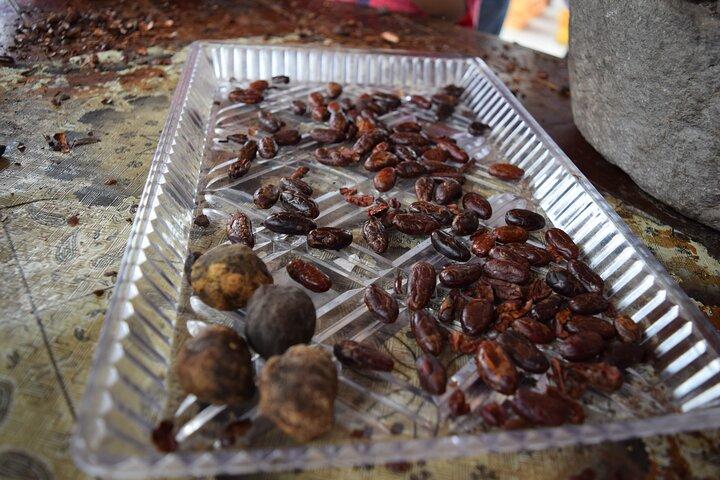 Half day on a Cocoa farm - For Seniors