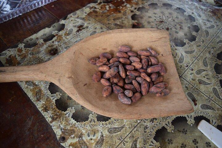 Half day on a Cocoa farm - For Seniors