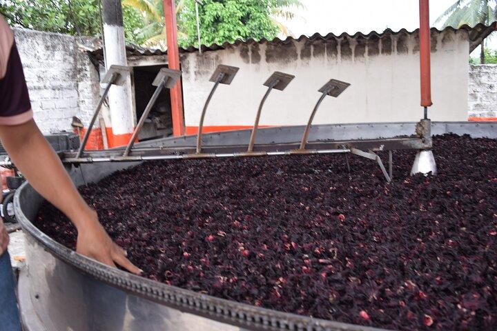 Half day on a Cocoa farm - For Seniors