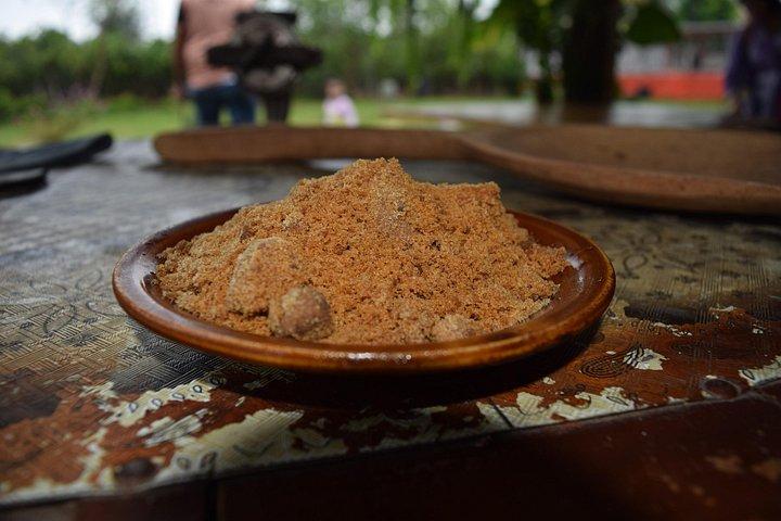 Half day on a Cocoa farm - For Seniors