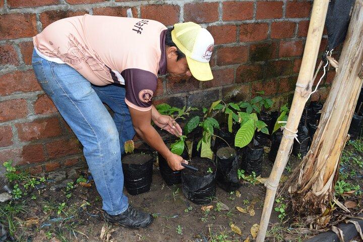 Half day on a Cocoa farm - For Seniors