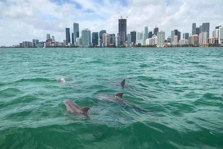 Miami Small Group Bootstour: Geschichte, Tierwelt und Stiltsville