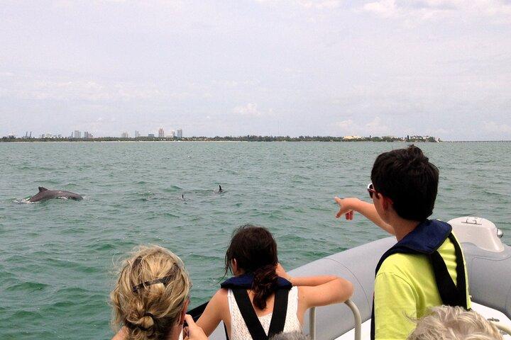 Miami Small Group Bootstour: Geschichte, Tierwelt und Stiltsville