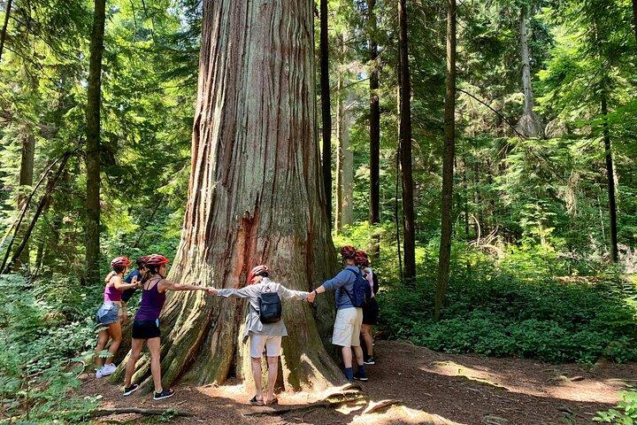 Excursion à vélo de 3 heures au parc Stanley de Vancouver