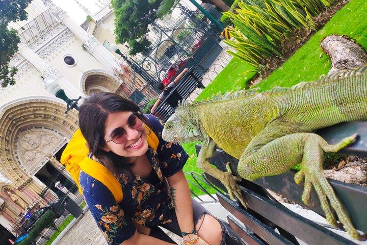 Guayaquil-oplevelse - Premium bytur