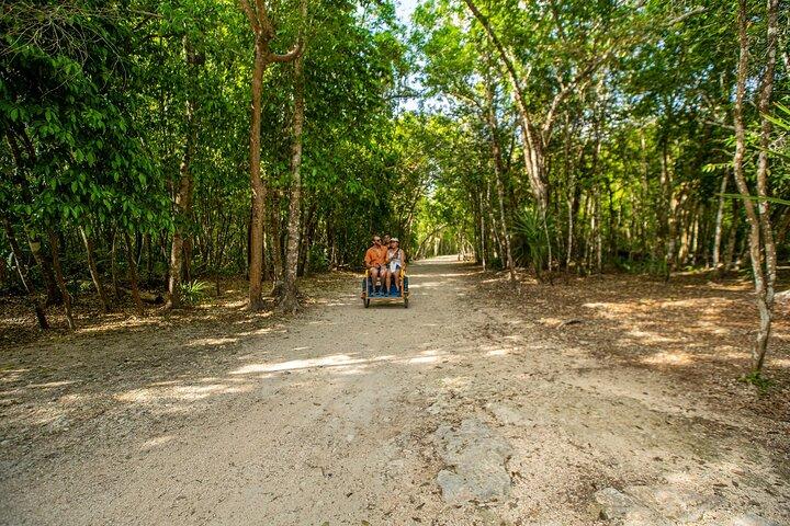 Tulum Coba & Cenote de Playa del Carmen