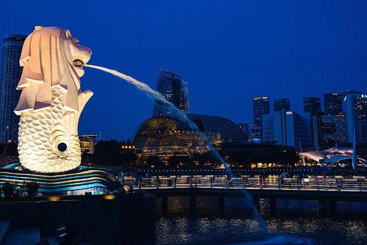 Singapur City Lights 1 Stunde Open Top Nacht Tour