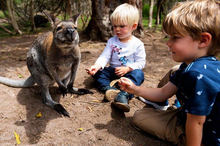 Peninsula Nature Tour