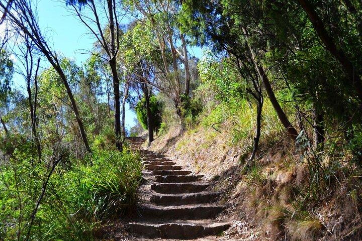 Peninsula Nature Tour