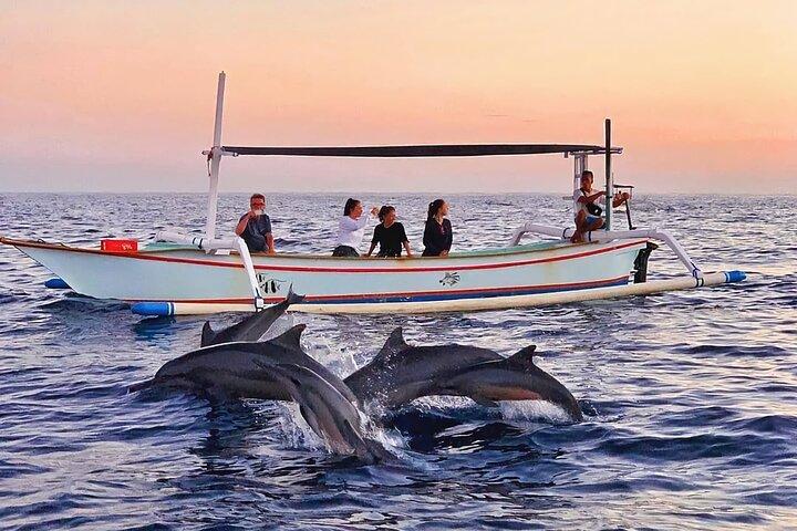Privat heldags Lovina Dolphin Watching og Snorkelbådtur