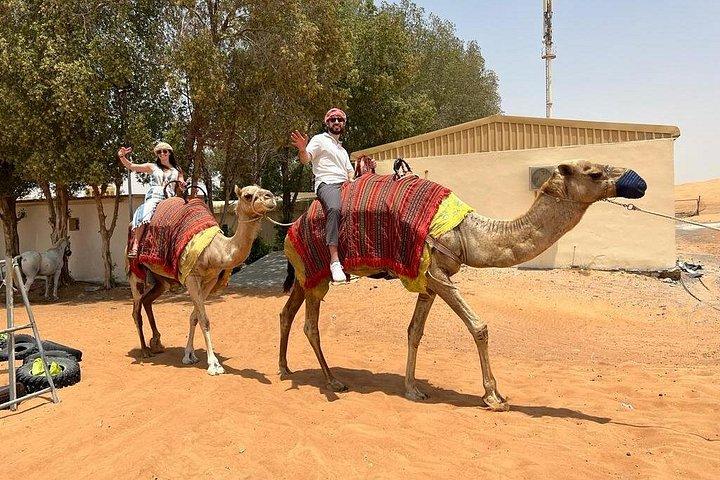 VIP-ökensafari Dubai, kamelridning, BBQ-middagsshows