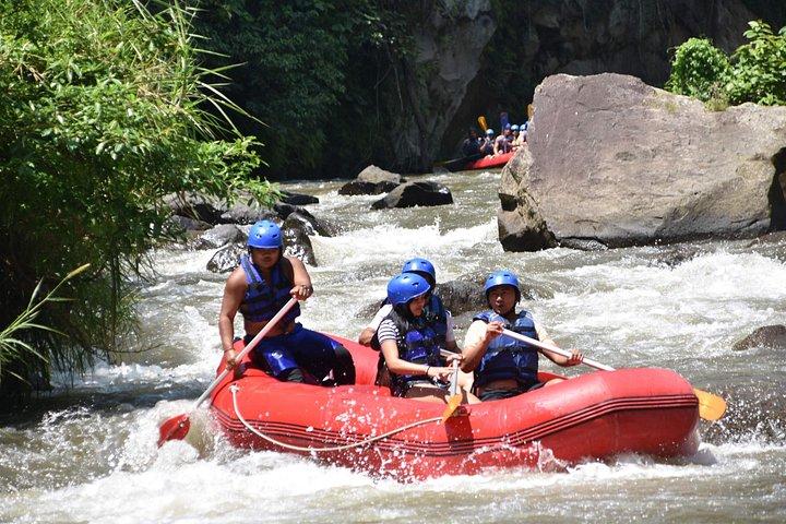 Bedste White Water Rafting & Lunch, Ubud