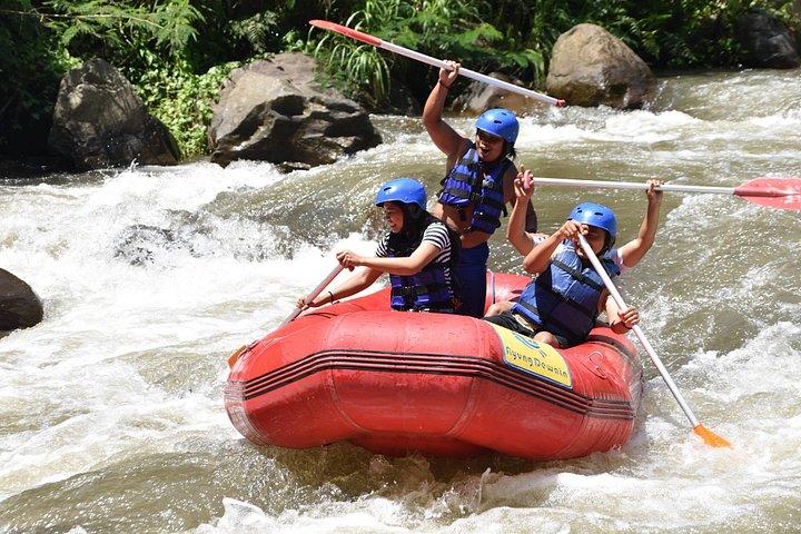 Bedste White Water Rafting & Lunch, Ubud