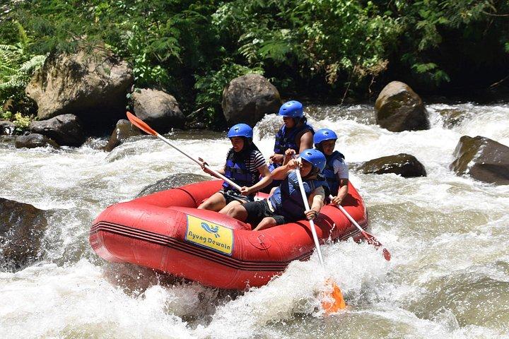 Bedste White Water Rafting & Lunch, Ubud