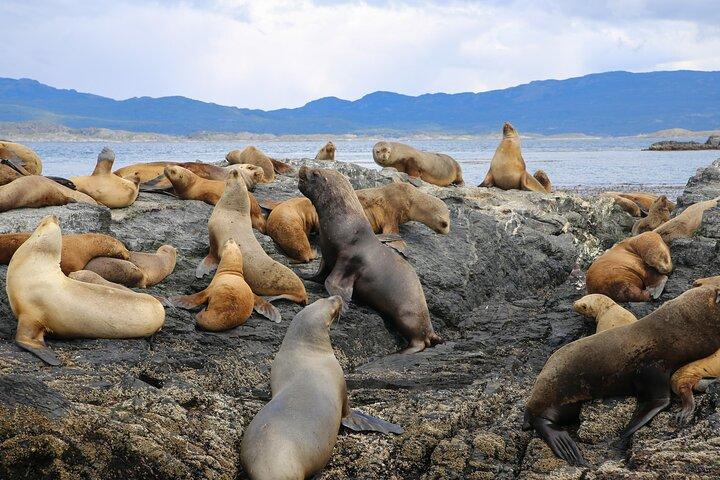 Navigazione attraverso il Canale di Beagle, Los Lobos e i ponti