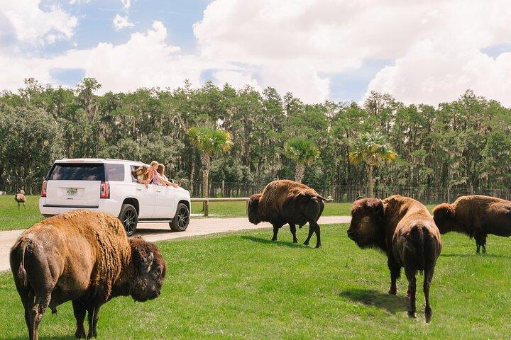 Toegang tot Wild Florida Drive-Thru Safari en Gator Park
