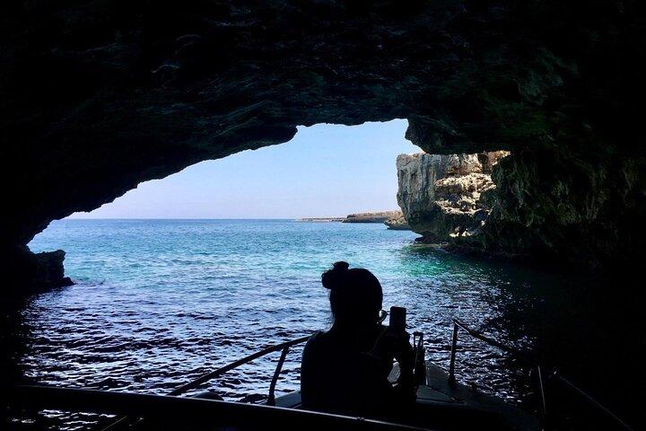 Excursão de barco a Polignano a Mare entre cavernas e enseadas