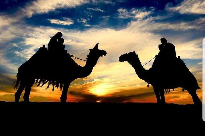 Visita la Medina di Agadir a dorso di cammello o a cavallo