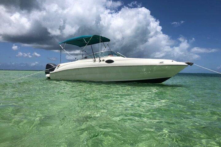 Charter privato per l'intera giornata: Stingray City, Starfish Point, Kaibo e snorkeling