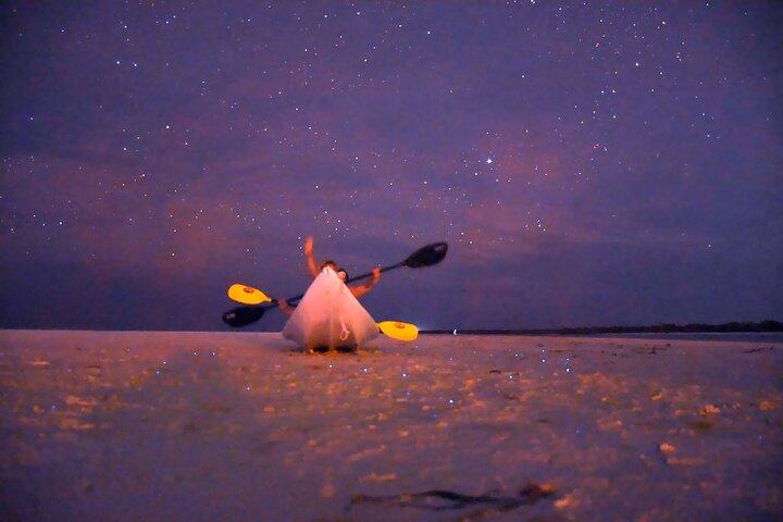 Nuit magique d'observation des étoiles et de bioluminescence