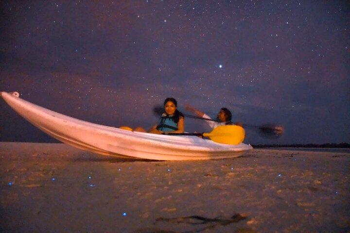 Nuit magique d'observation des étoiles et de bioluminescence