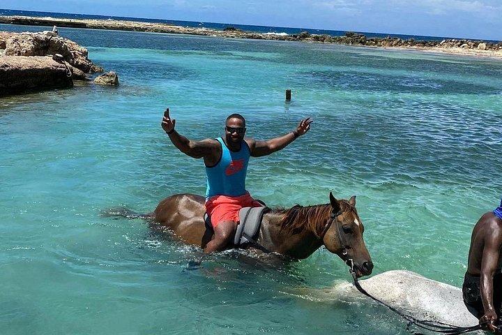 モンテゴ ベイからの乗馬と水泳のガイド付きツアー(送迎付き)