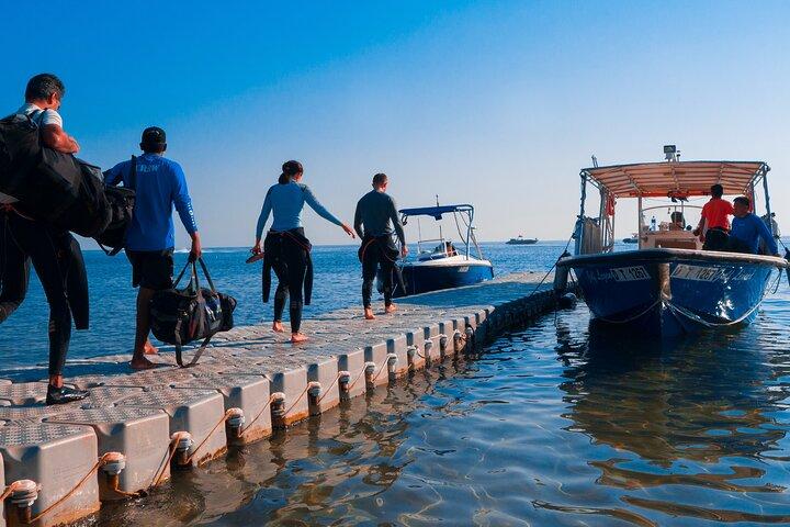 Immersione alle barriere coralline di Fujairah per subacquei certificati