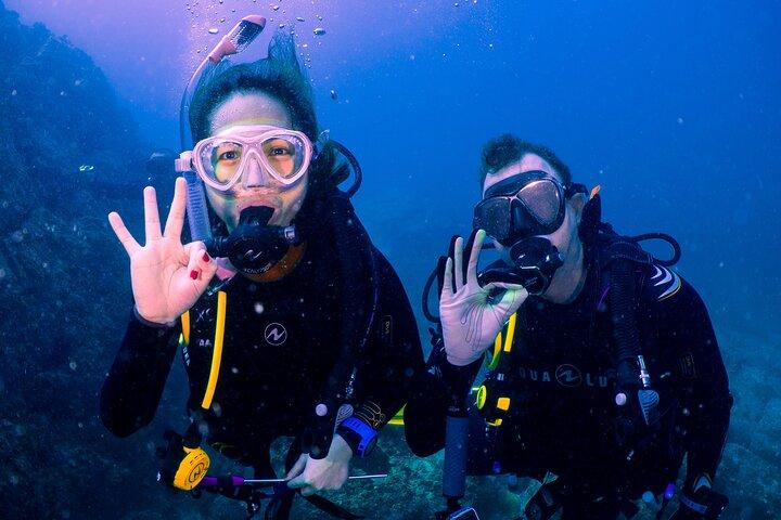 認定スキューバ ダイバーのためのフジャイラのサンゴ礁へのダイビング旅行