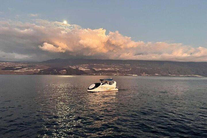 Boat trip along the Northwest Coast of La Palma