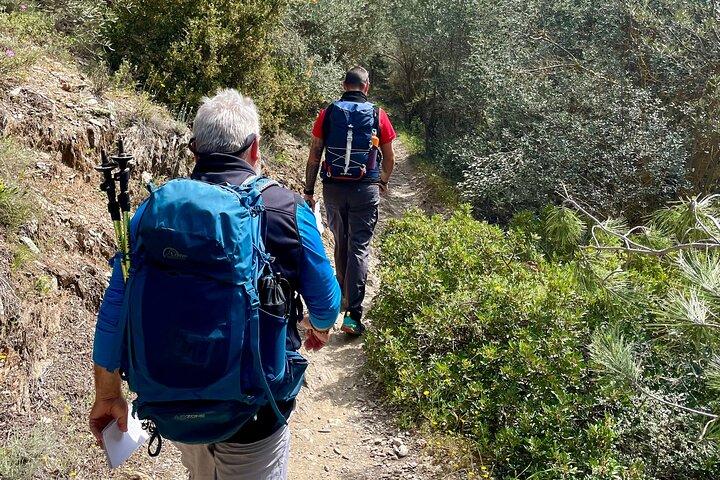 Senderismo privado de 3 horas en Mount Ymittos