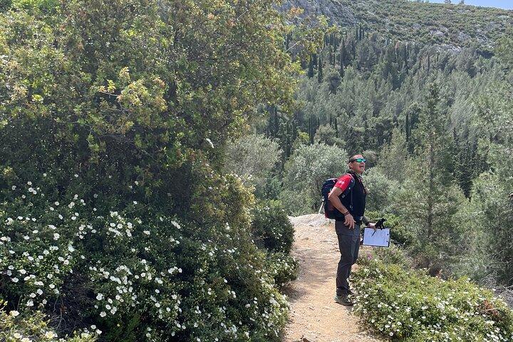 Senderismo privado de 3 horas en Mount Ymittos