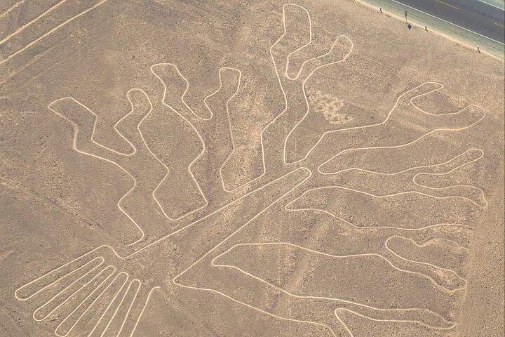 イカから謎めいたナスカの地上絵の上空を飛行