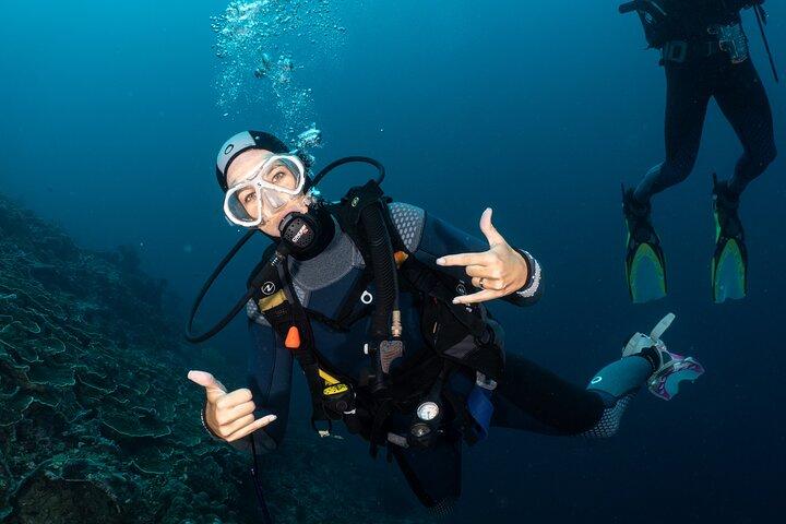 Full-Day Discover Scuba Diving Tour voor beginners in Tulamben